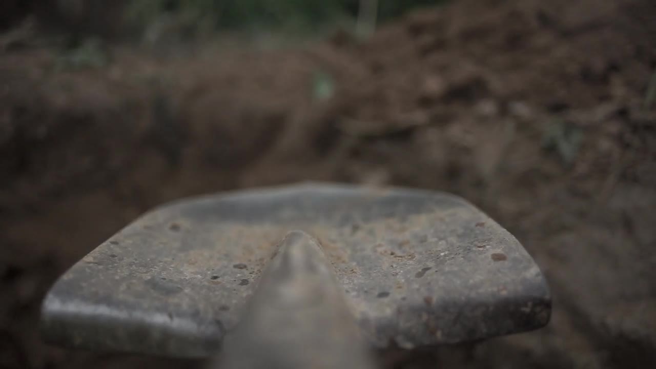 Stock Video Digging In A Field With A Shovel Live Wallpaper For PC