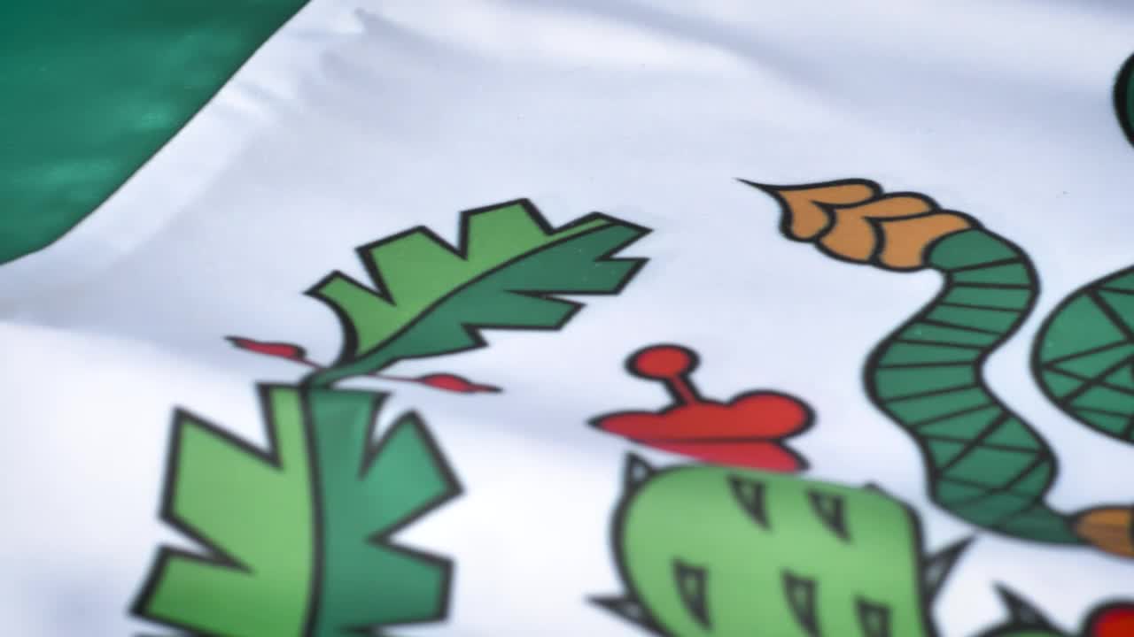 Stock Video Detailed View To The Flag Of Mexico Live Wallpaper For PC