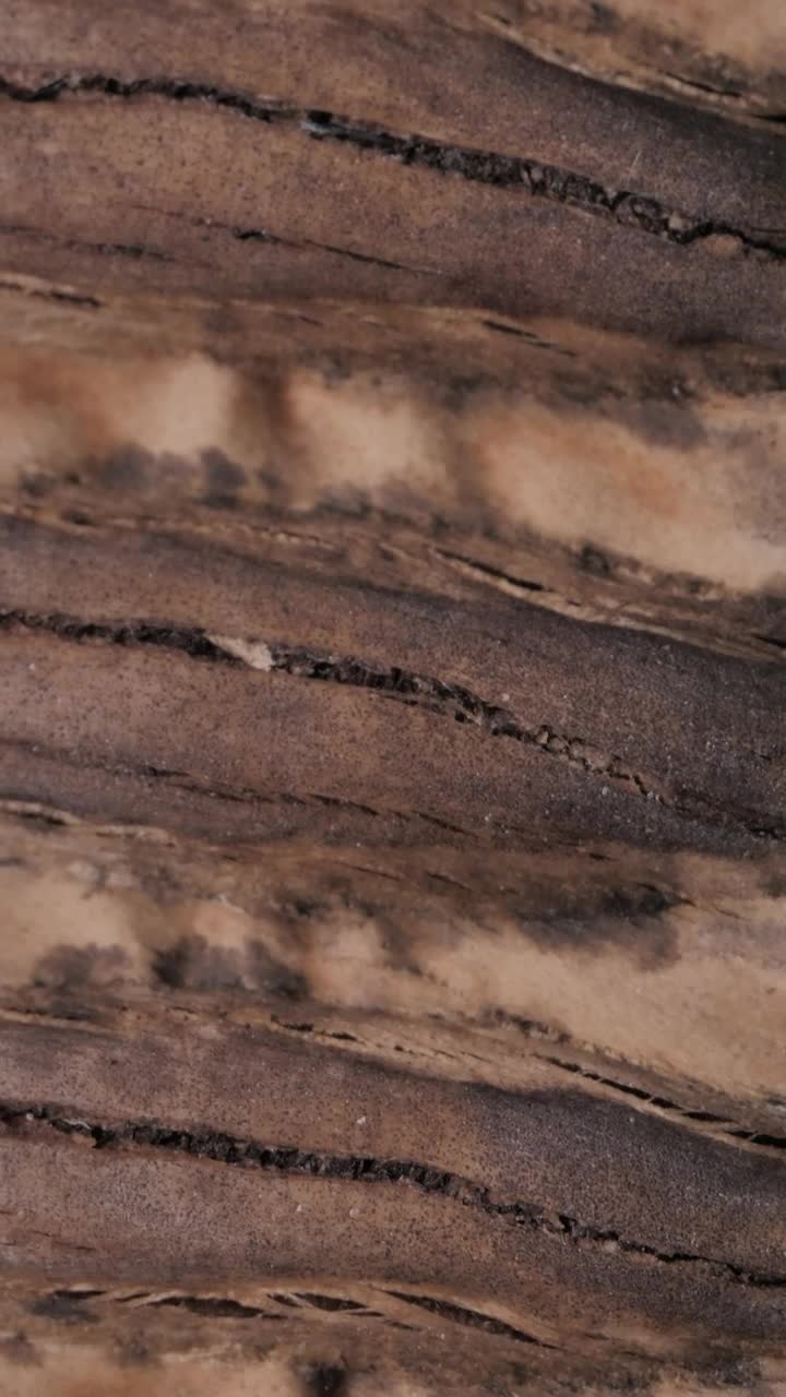 Stock Video Detail View Of The Texture Of A Wooden Board Live Wallpaper For PC