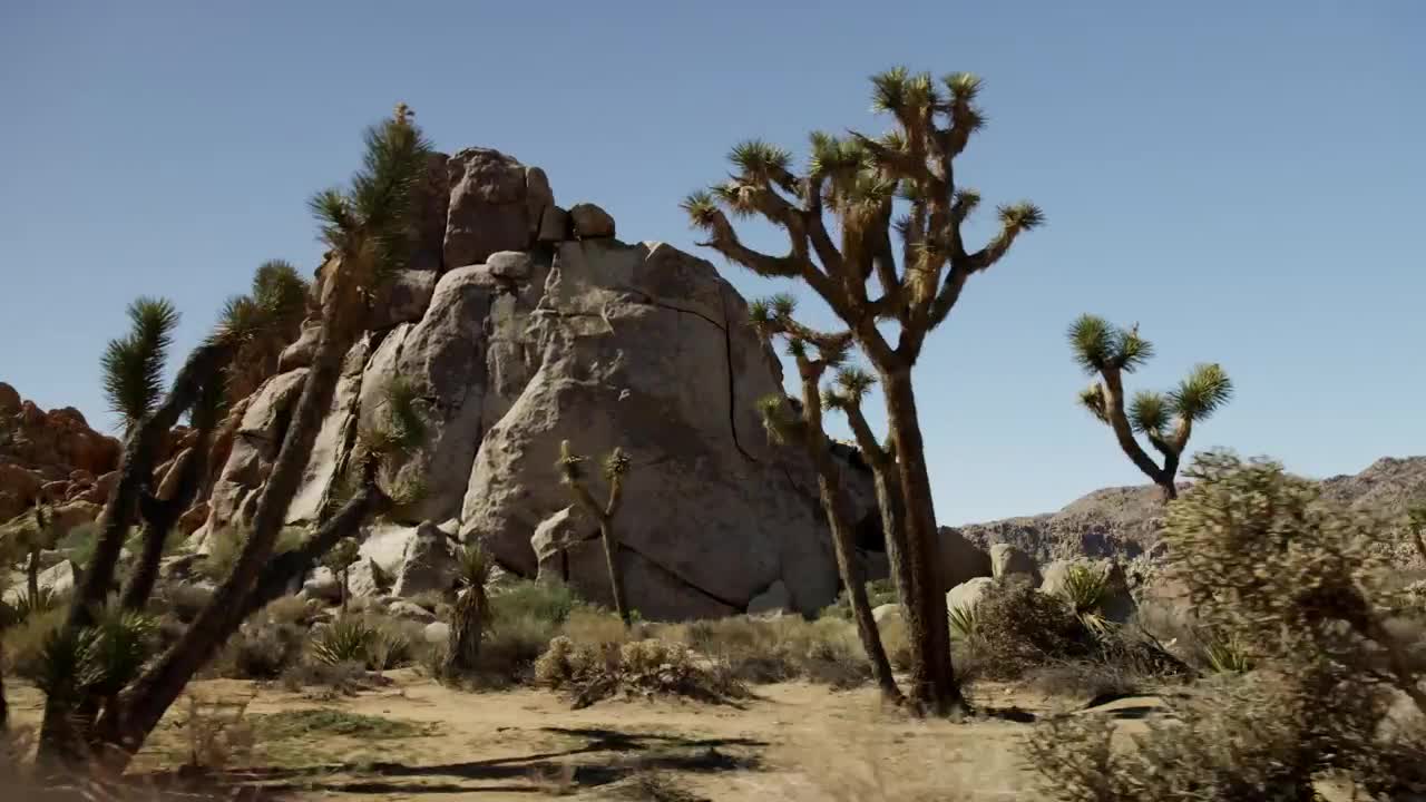 Stock Video Desert With Rocky Mounds Live Wallpaper For PC