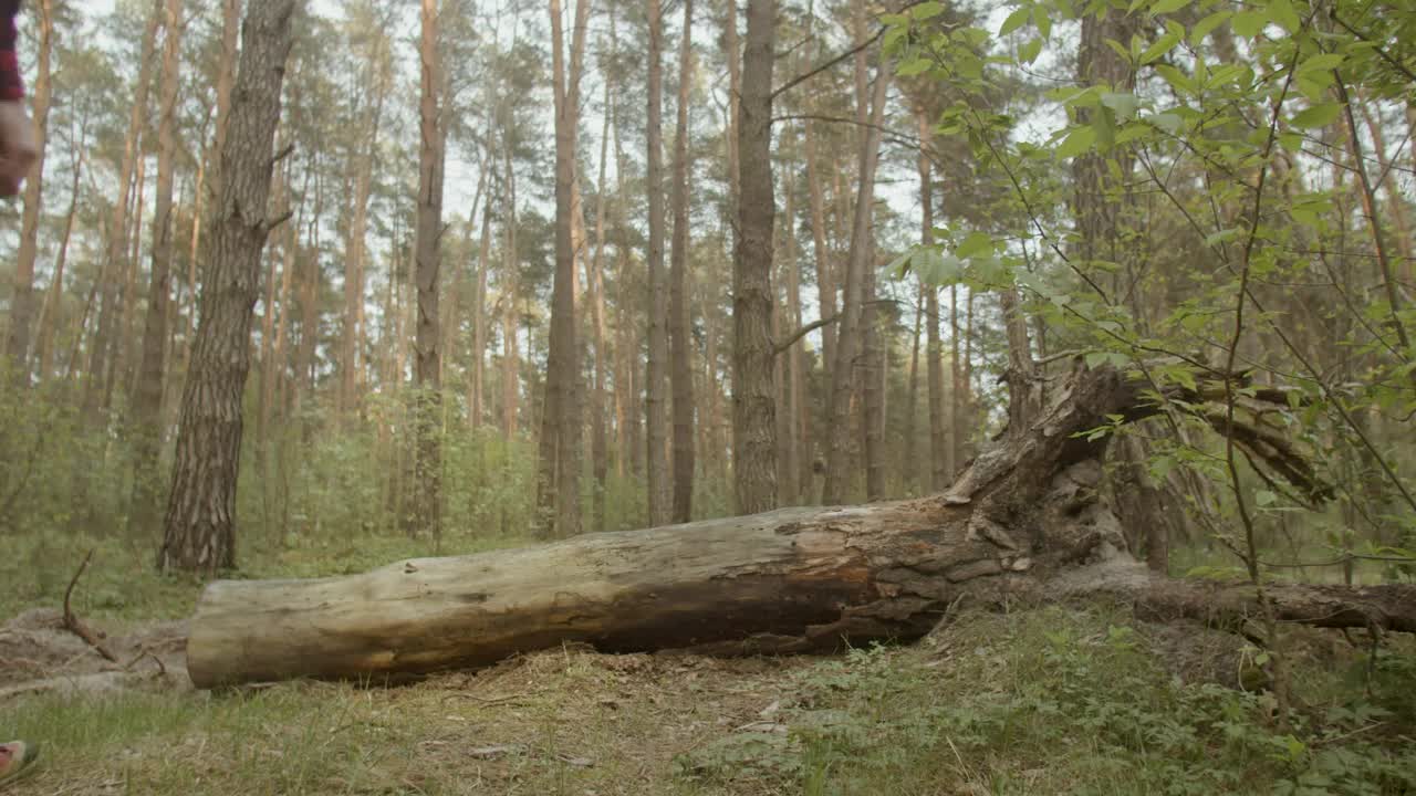 Stock Video Depressed Man Resting On A Log In The Woods Live Wallpaper For PC