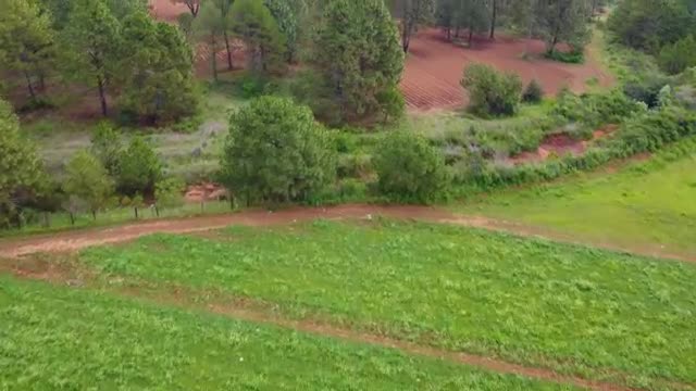 Stock Video Mixkit Flying Over A Field In A Large Forest Covered With Smal Live Wallpaper For PC