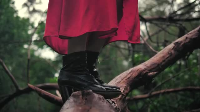 Stock Video Mixkit Feet Of A Woman Standing On A Large Branch Seen Smal Live Wallpaper For PC