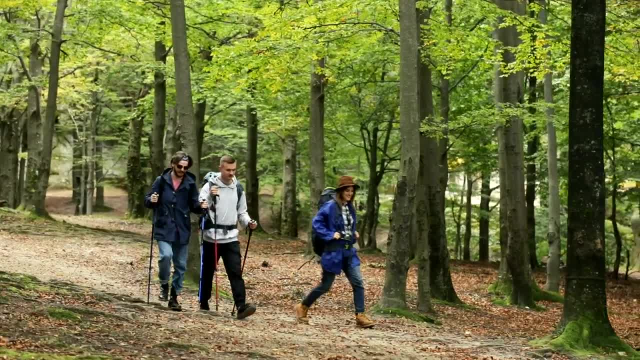 Stock Video Friends Going Camping In The Woods Live Wallpaper For PC