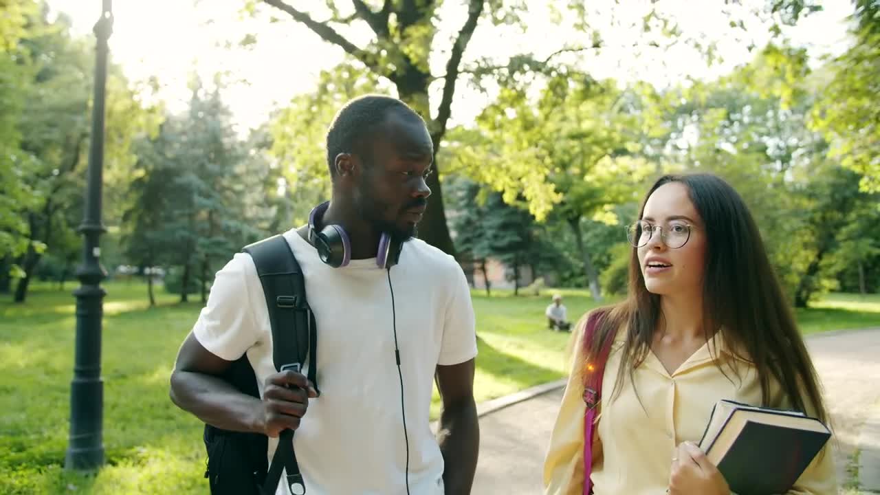 Stock Video Friends Chat While Walking Through Sunlit Park Live Wallpaper For PC