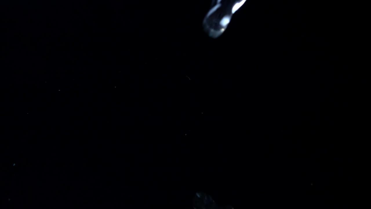 Stock Video Fresh Vegetables Falling Into Water Live Wallpaper For PC