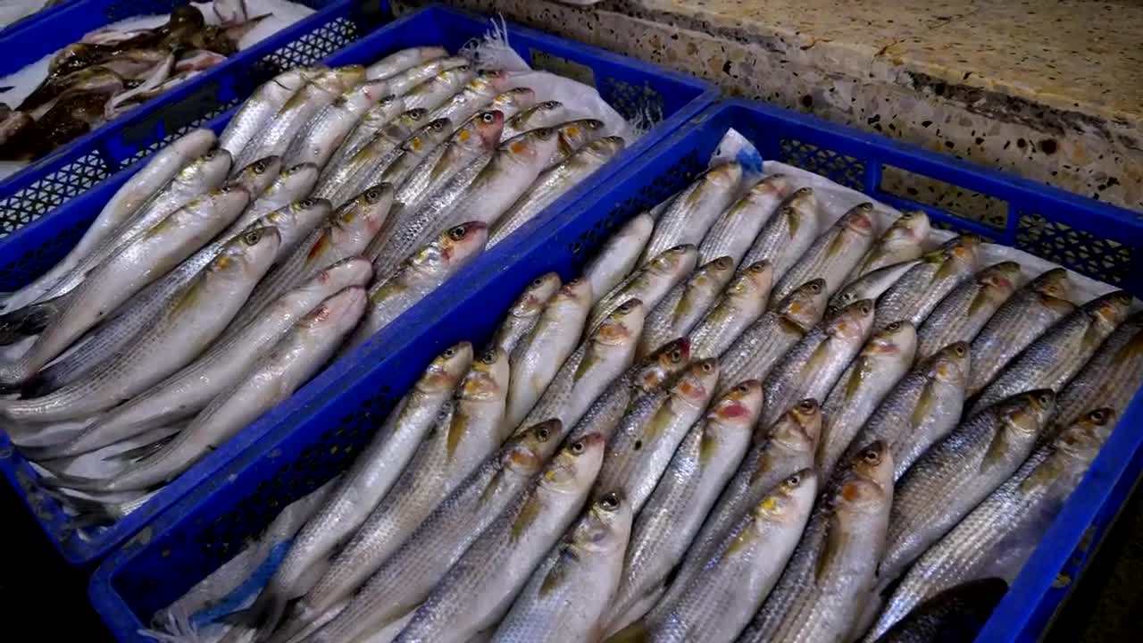 Stock Video Fresh Fish On Ice Trays Ready For Sale Live Wallpaper For PC