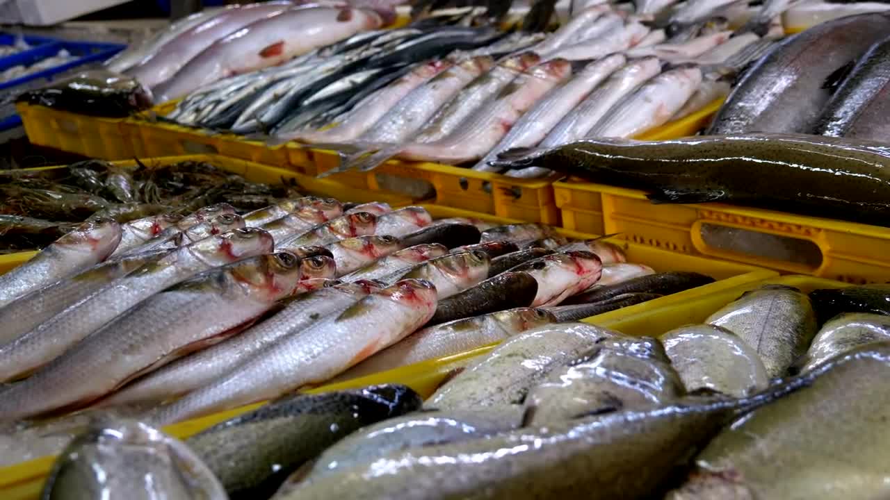 Stock Video Fresh Fish On Ice Trays In The Market Live Wallpaper For PC