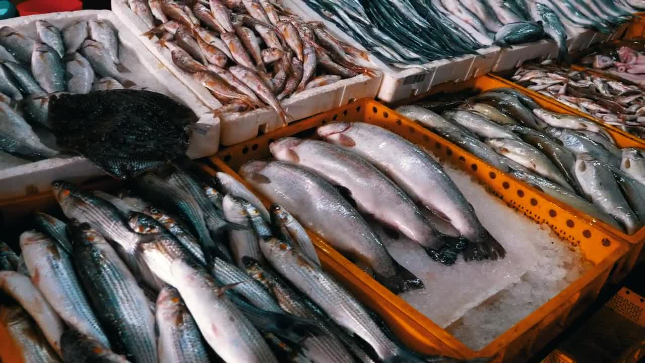 Stock Video Fresh Fish On Ice Trays Live Wallpaper For PC