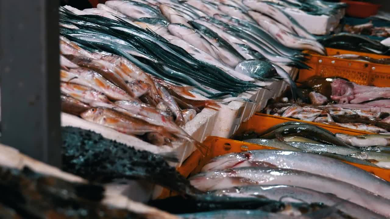 Stock Video Fresh Fish Merchandise In The Market Live Wallpaper For PC