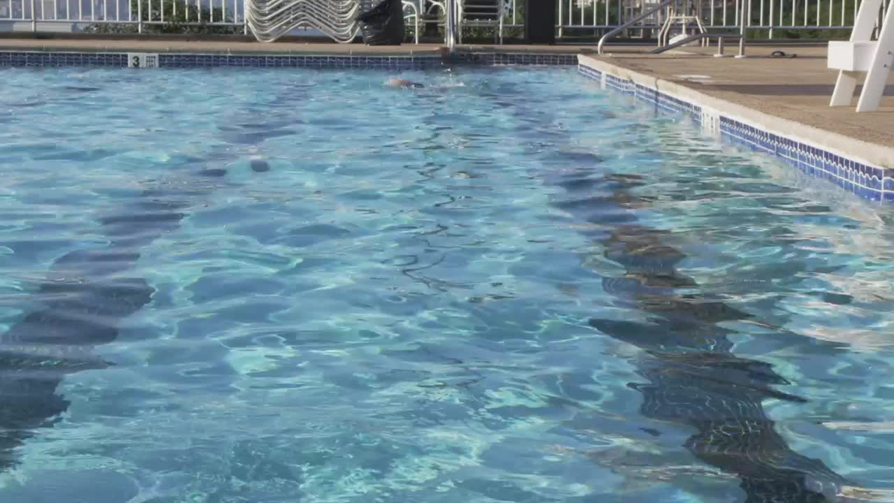 Stock Video Freestyle Swimming In A Pool Live Wallpaper For PC