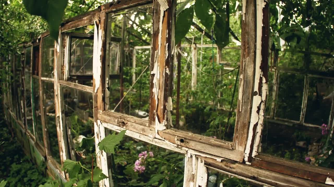 Stock Video Frame Of An Old Greenhouse Live Wallpaper For PC