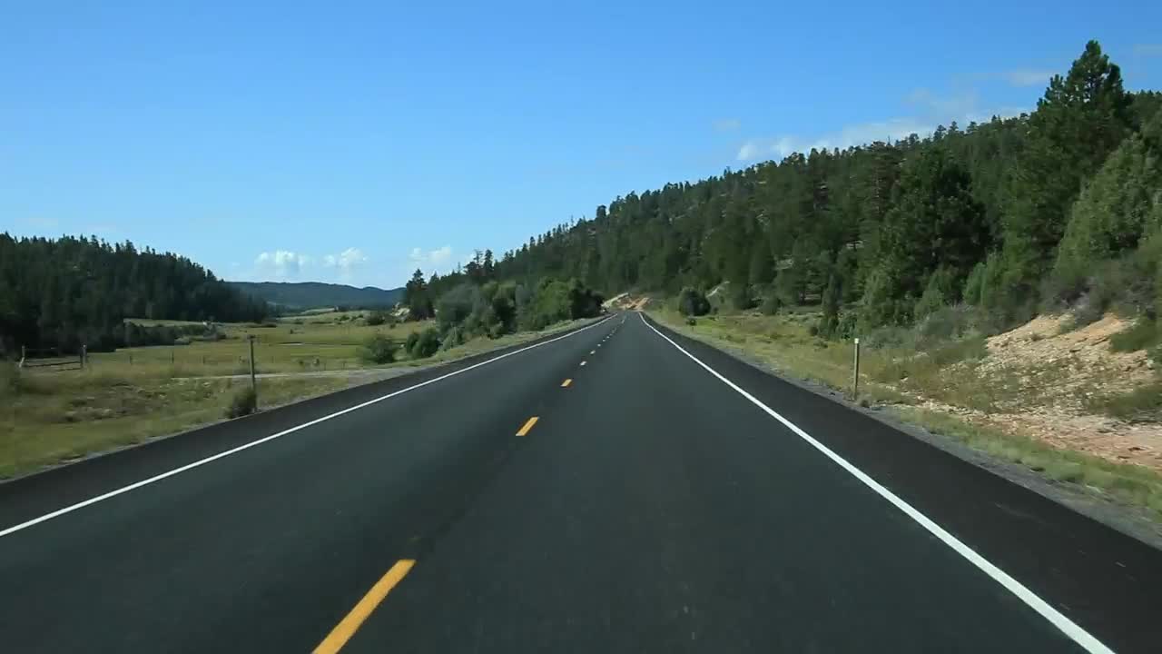 Stock Video Forests By The Road Live Wallpaper For PC