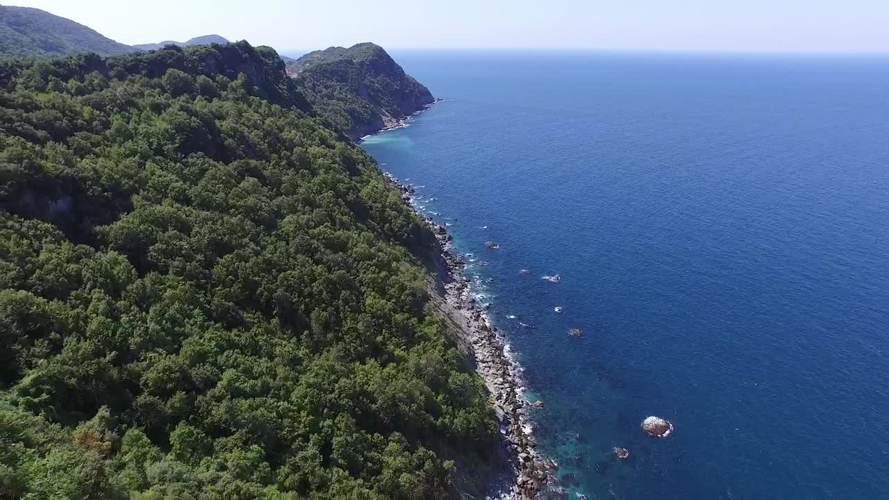 Stock Video Forested Mountains Cliffs And The Ocean Live Wallpaper For PC