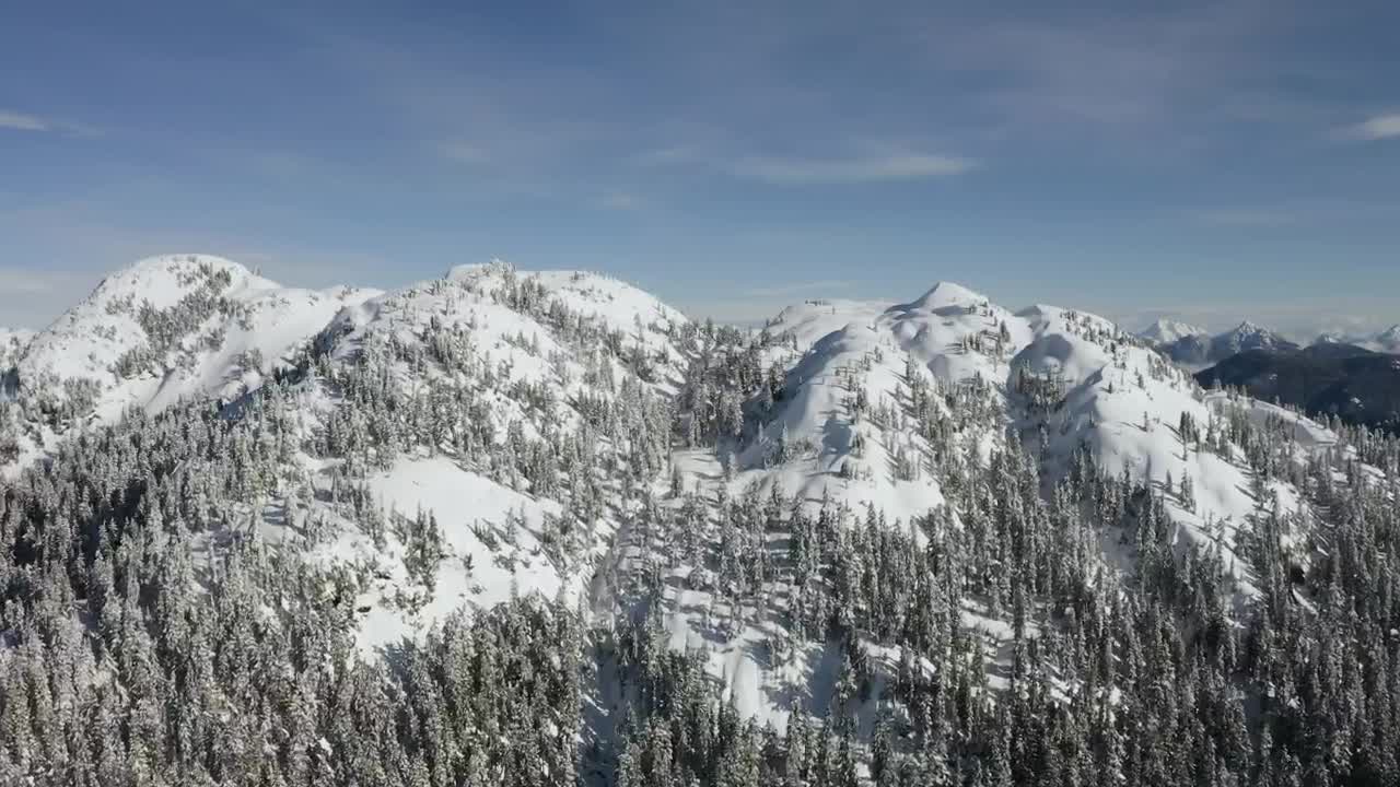 Stock Video Forest On A Mountain In Winter Live Wallpaper For PC