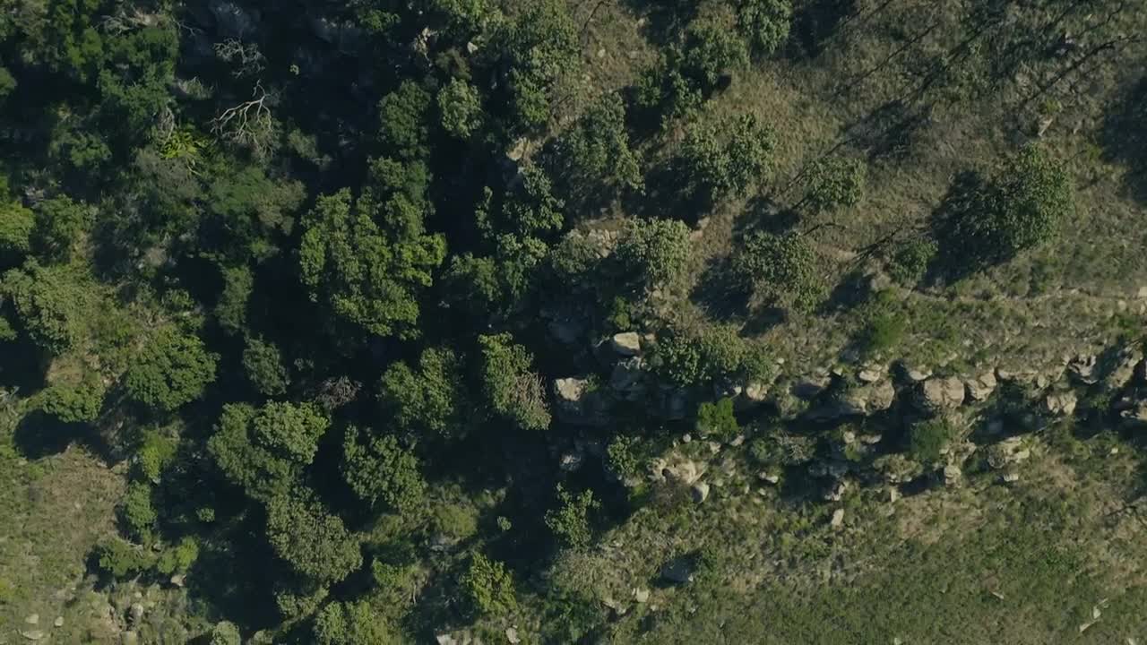 Stock Video Forest Near A Train Railway Top Shot Live Wallpaper For PC