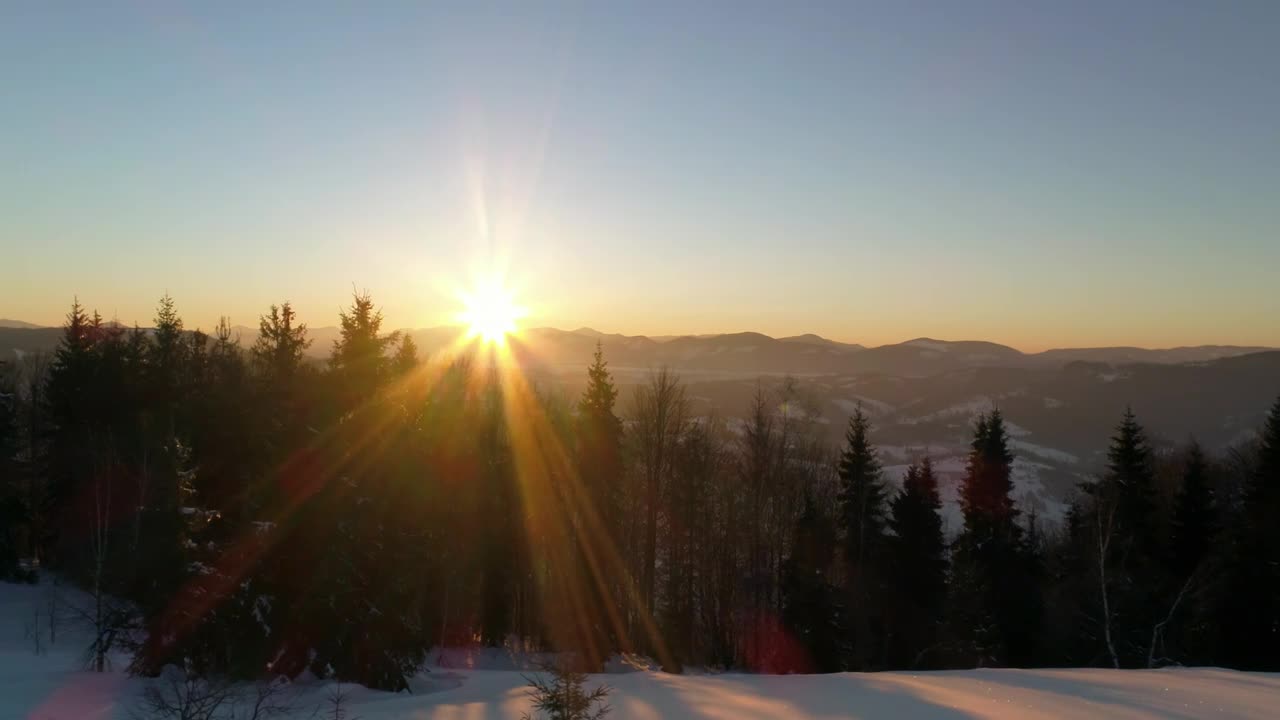 Stock Video Forest In Winter At Dusk Low Aerial Shot Live Wallpaper For PC