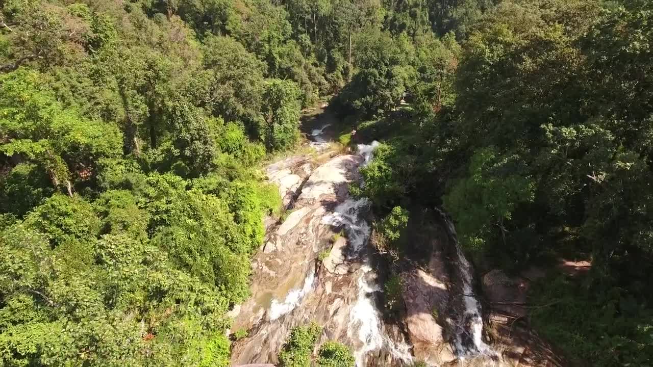 Stock Video Forest In Summer With A Waterfall Live Wallpaper For PC