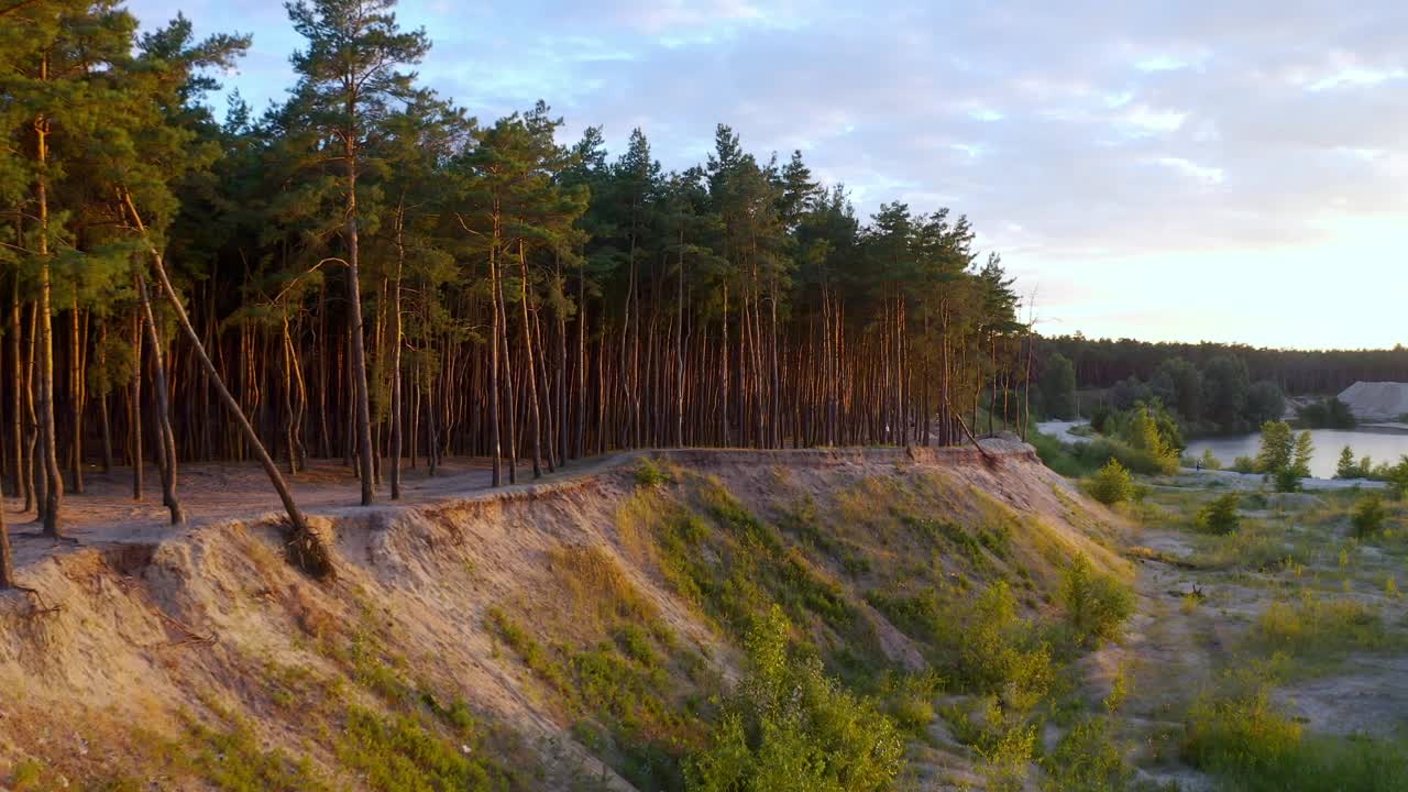 Stock Video Forest Full Of Trees Next To A Valley Live Wallpaper For PC