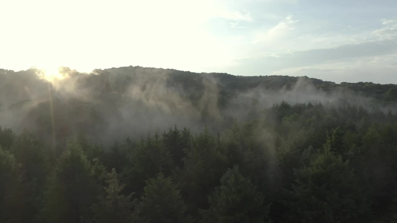 Stock Video Forest Covered By Mist At Sunrise From The Heights Live Wallpaper For PC