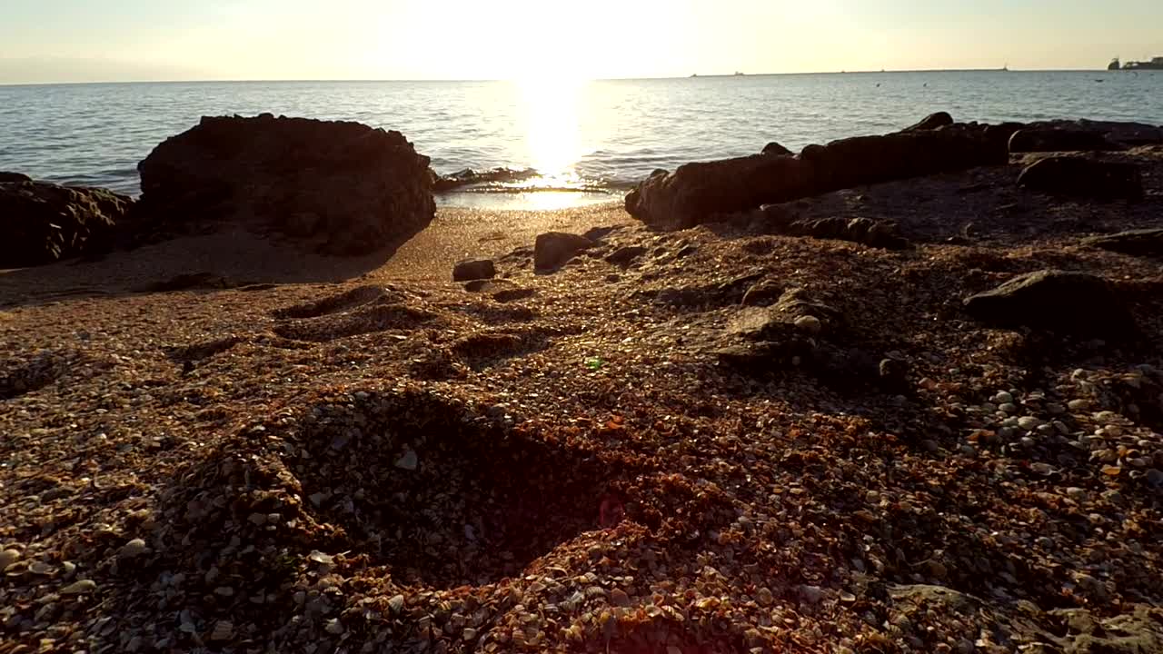 Stock Video Footprints In The Sand Live Wallpaper For PC