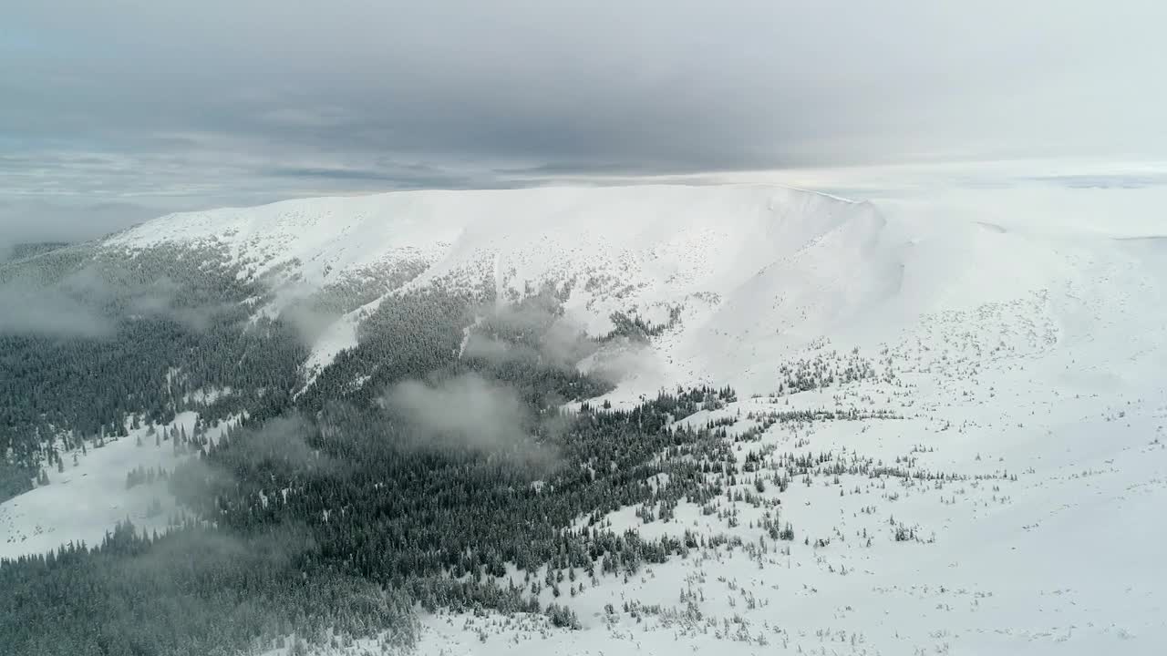 Stock Video Foggy Winter Mountain Aerial View Live Wallpaper For PC