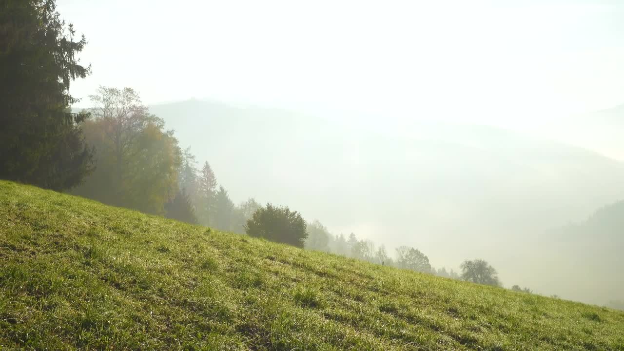 Stock Video Foggy Morning In The Mountains Live Wallpaper For PC