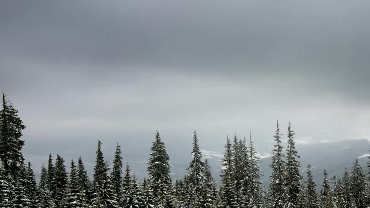 Stock Video Foggy Environment At Snowy Moutains Live Wallpaper For PC