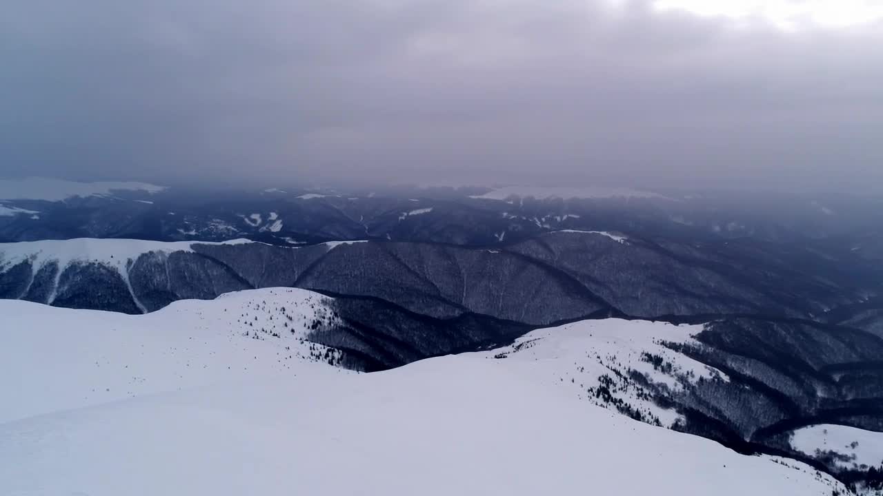 Stock Video Foggy Day In A Winter Environment Live Wallpaper For PC