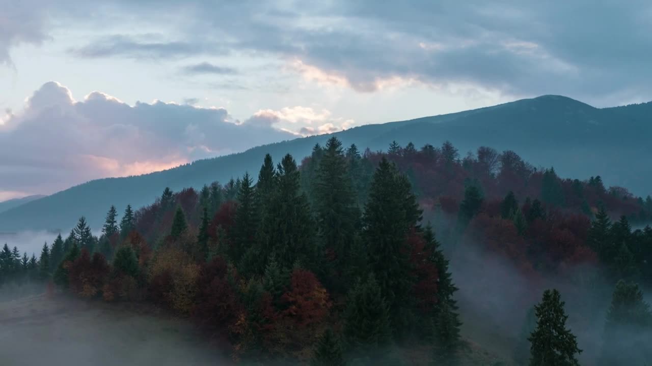 Stock Video Foggy Autumnal Sunrise In The Mountains Live Wallpaper For PC