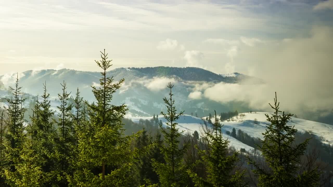 Stock Video Fog Over A Winter Forest Time Lapse Live Wallpaper For PC