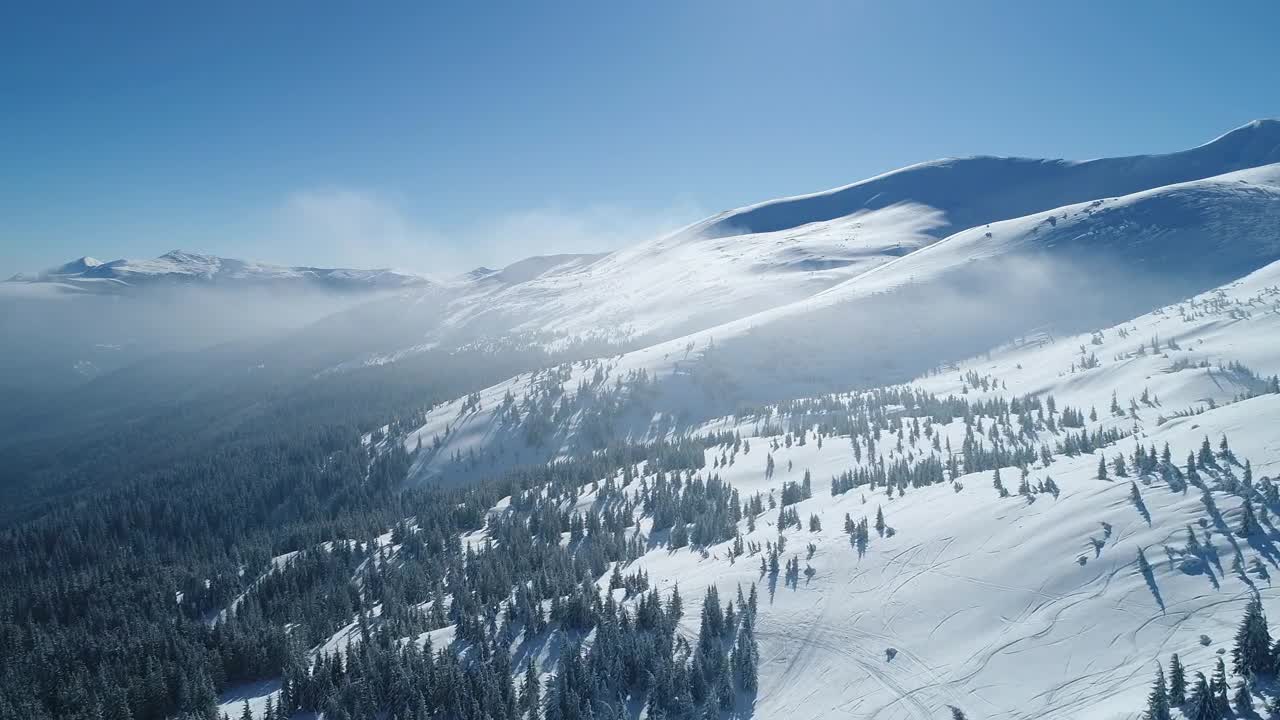 Stock Video Fog Covering A Beautiful Snowy Forest Live Wallpaper For PC