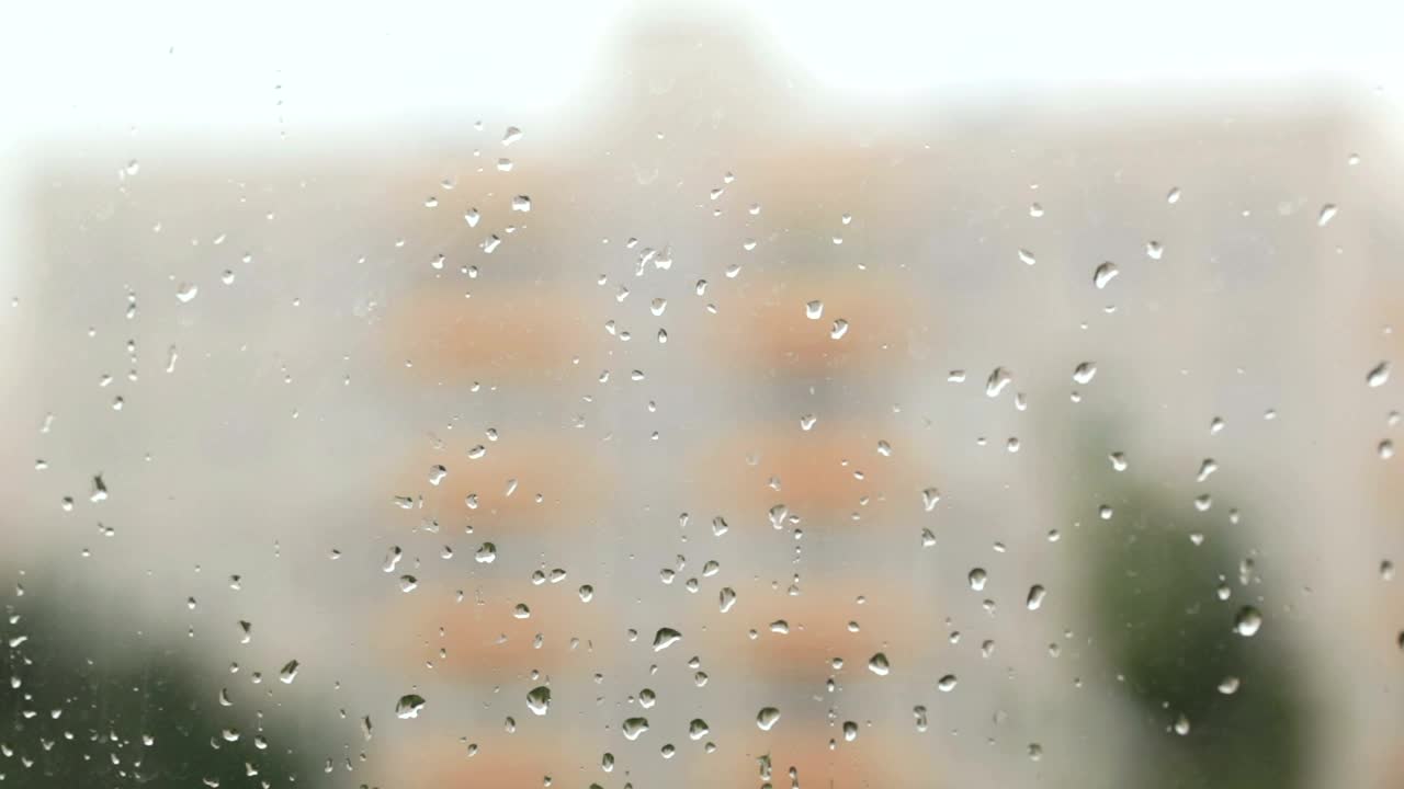 Stock Video Focus Switching Between The Window And Building Live Wallpaper For PC