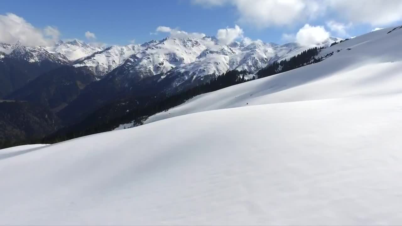 Stock Video Flying Through Snowy Mountains And The Pine Forest Live Wallpaper For PC