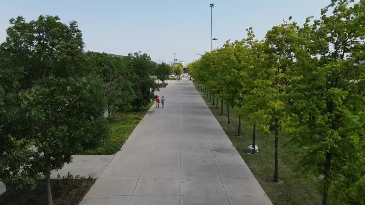 Stock Video Flying Through A Park Path With Grass And Trees Live Wallpaper For PC