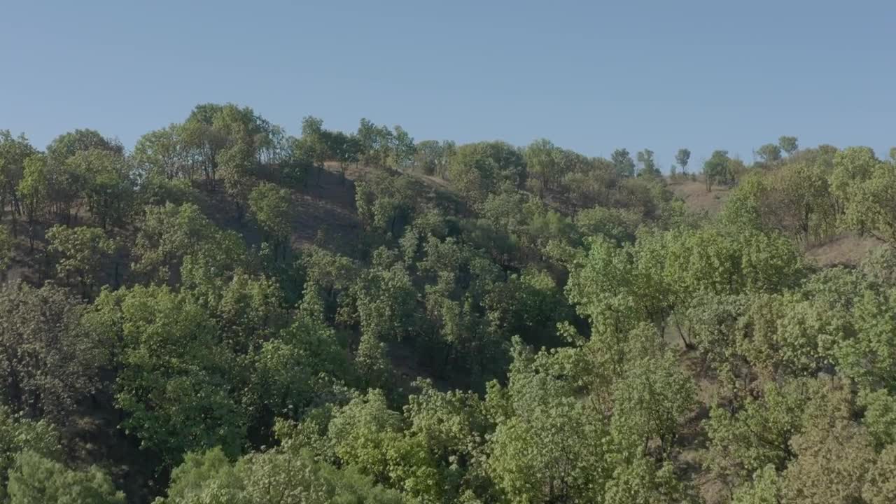 Stock Video Flying Through A Landscape Covered With Hills And Trees Live Wallpaper For PC