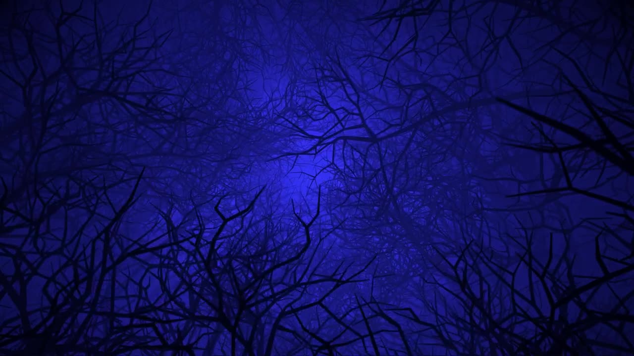 Stock Video Flying Through A Devilish Forest Live Wallpaper For PC