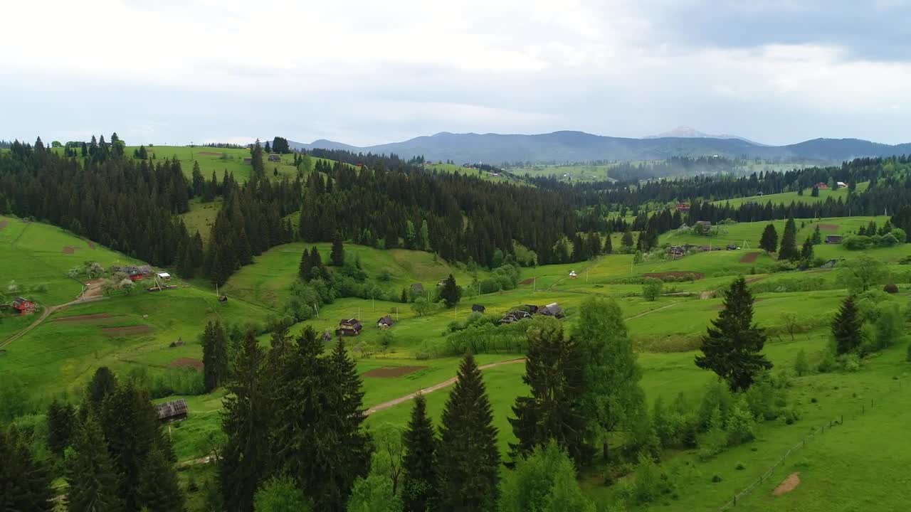 Stock Video Flying Through A Beautiful Forest In Spring Live Wallpaper For PC