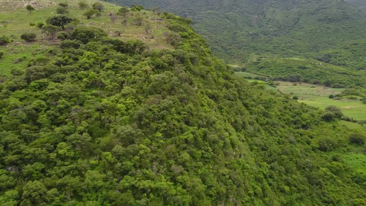 Stock Video Flying Over Tree Covered Hills Live Wallpaper For PC