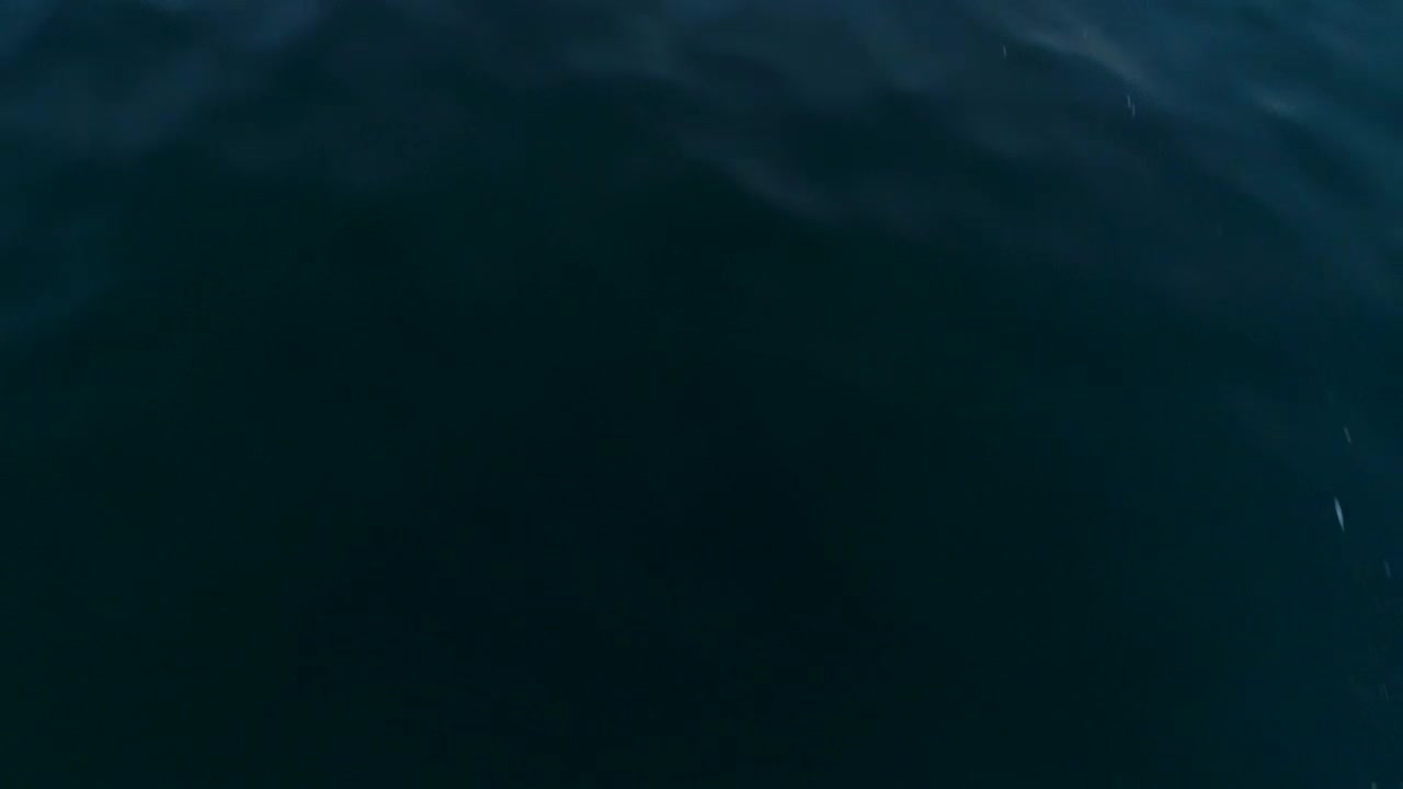 Stock Video Flying Over The Sea Revealing The Skyline At Sunset Live Wallpaper For PC