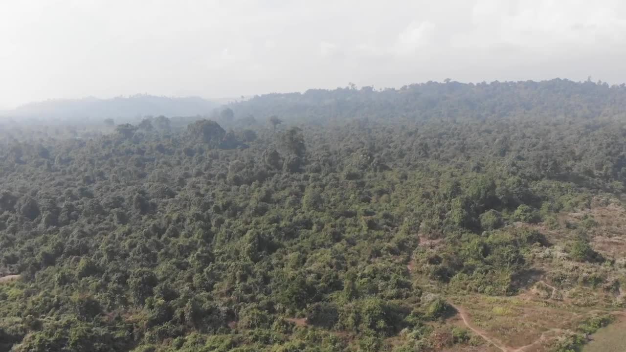 Stock Video Flying Over Hills Covered With Trees Live Wallpaper For PC