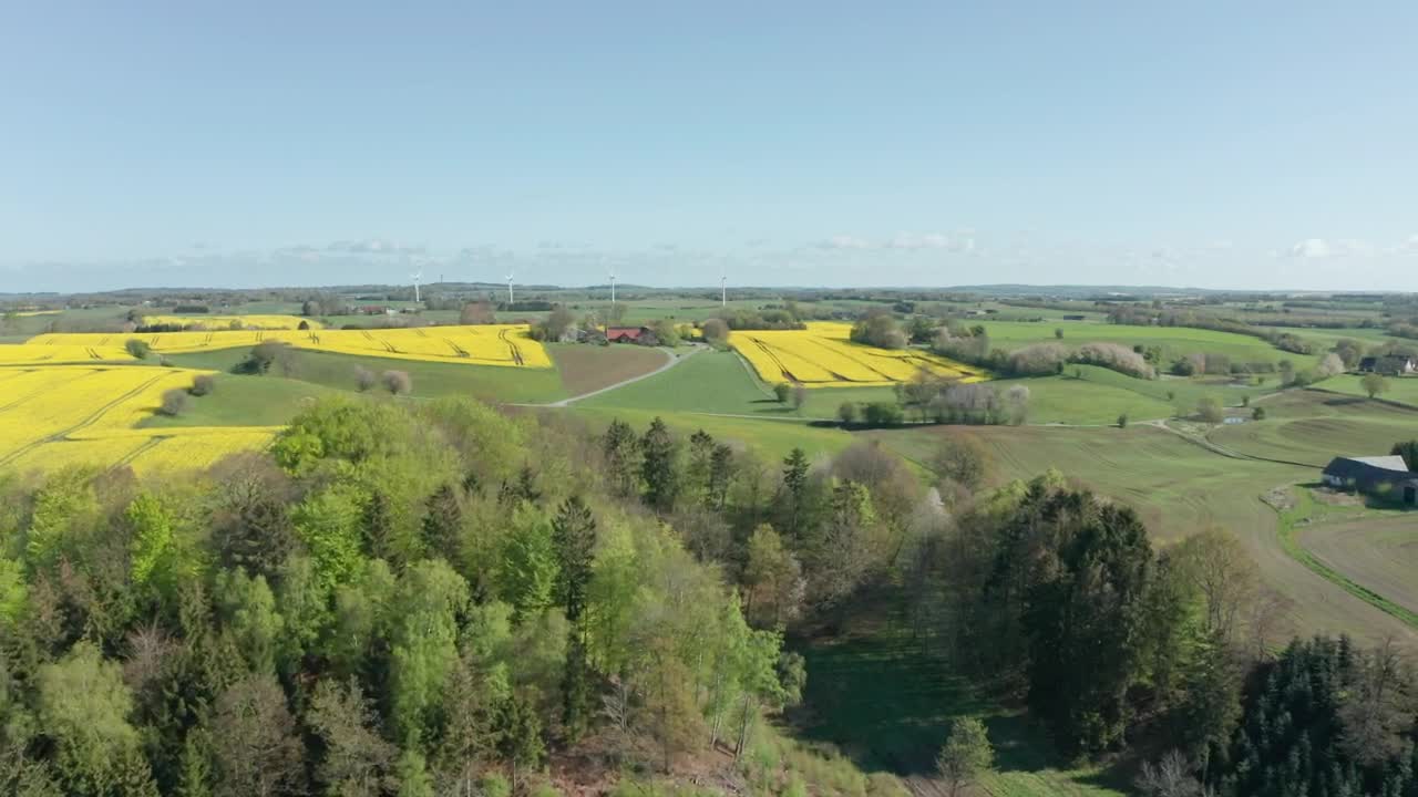 Stock Video Flying Over Forest Fields Live Wallpaper For PC