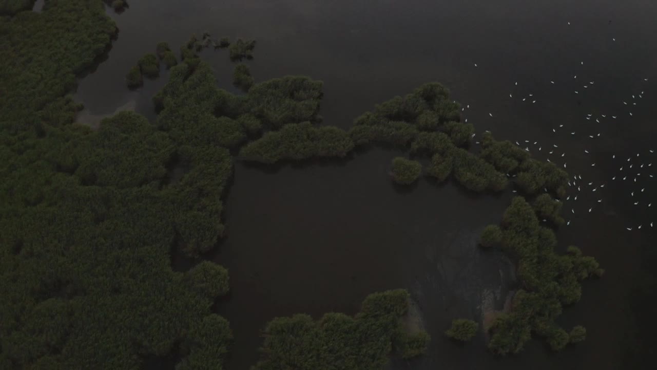 Stock Video Flying Over Flooded Fields Live Wallpaper For PC