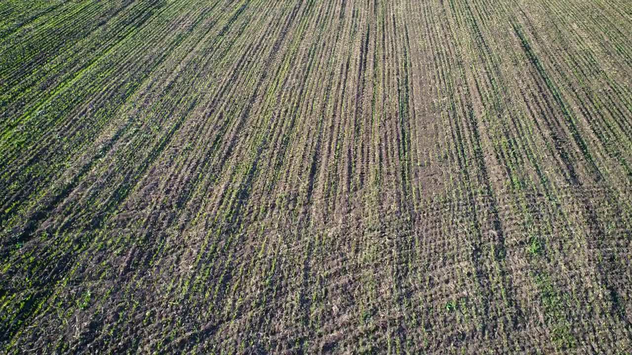 Stock Video Flying Over An Agriculture Field Texture Video Live Wallpaper For PC