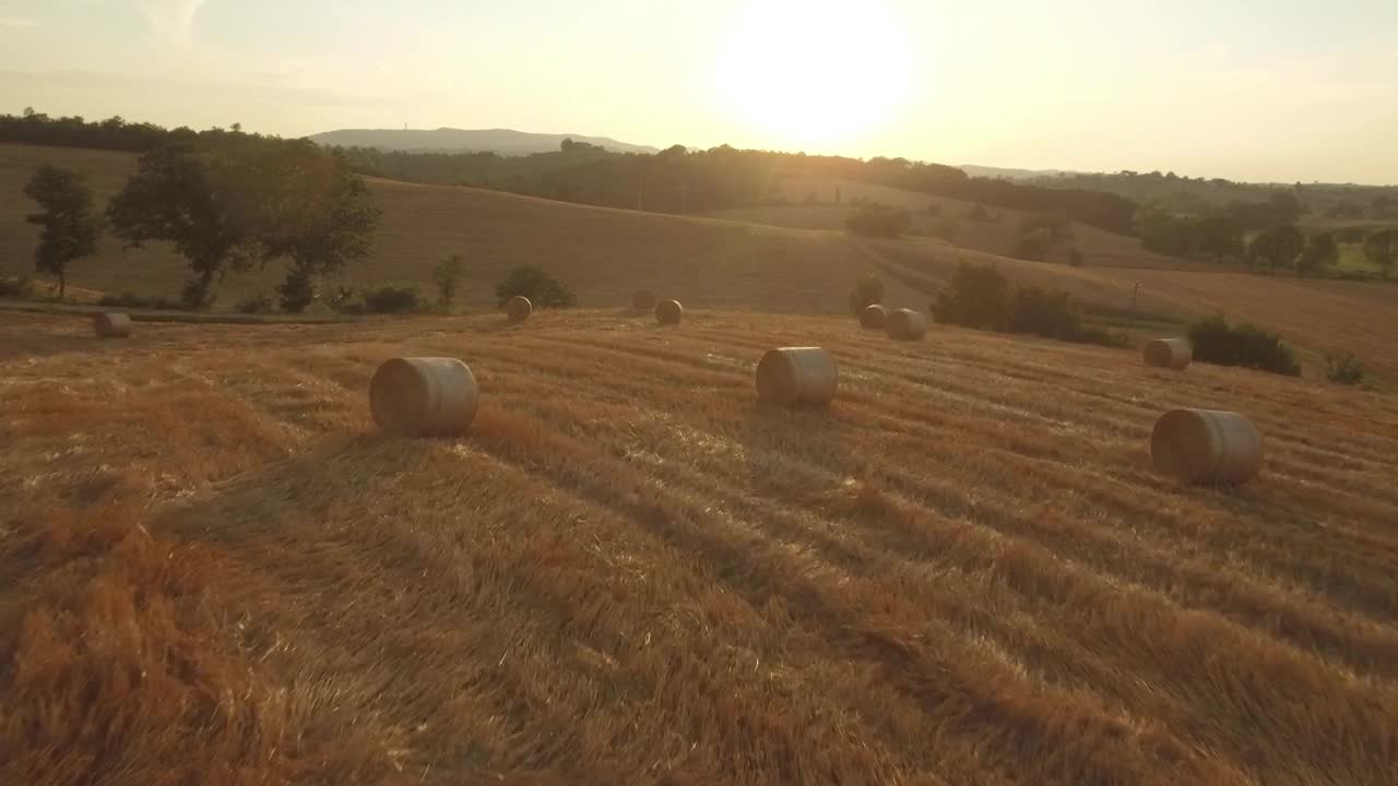 Stock Video Flying Over Agricultural Fields Live Wallpaper For PC