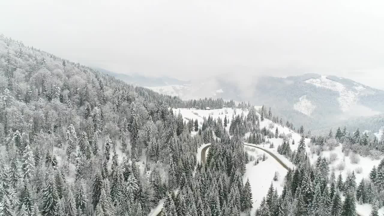 Stock Video Flying Over A Road In A Frozen Forest Live Wallpaper For PC