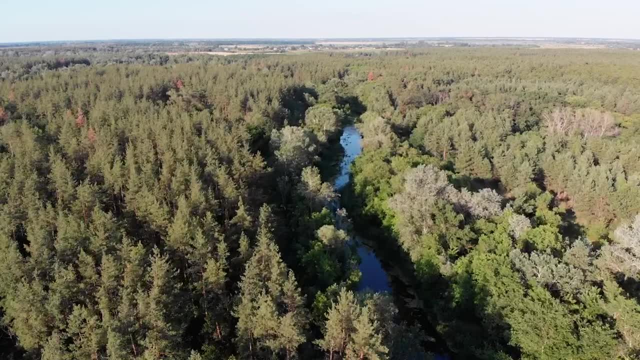 Stock Video Flying Over A River Running Through A Forest Live Wallpaper For PC