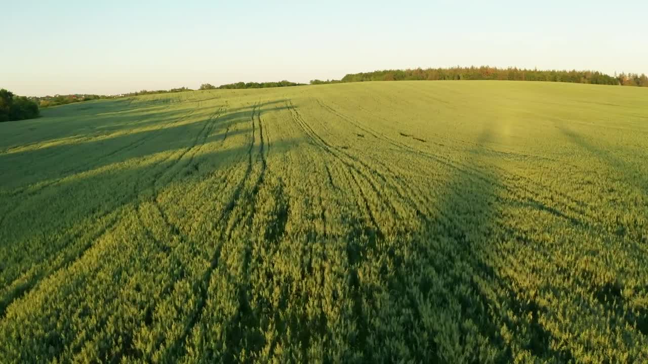Stock Video Flying Over A Green Field Live Wallpaper For PC