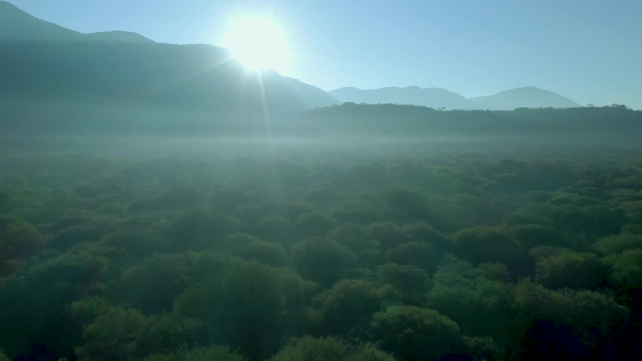 Stock Video Flying Over A Forest Between Mountains Live Wallpaper For PC