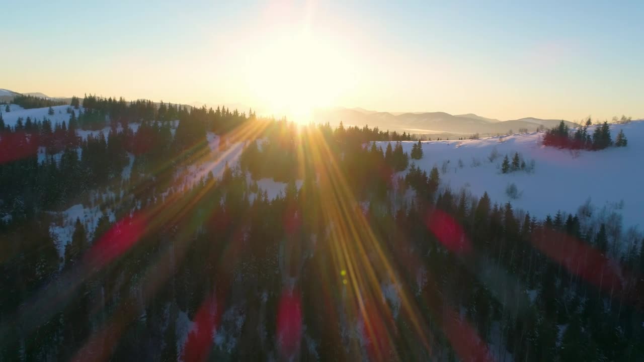 Stock Video Flying Over A Forest High Up In The Mountains Live Wallpaper For PC